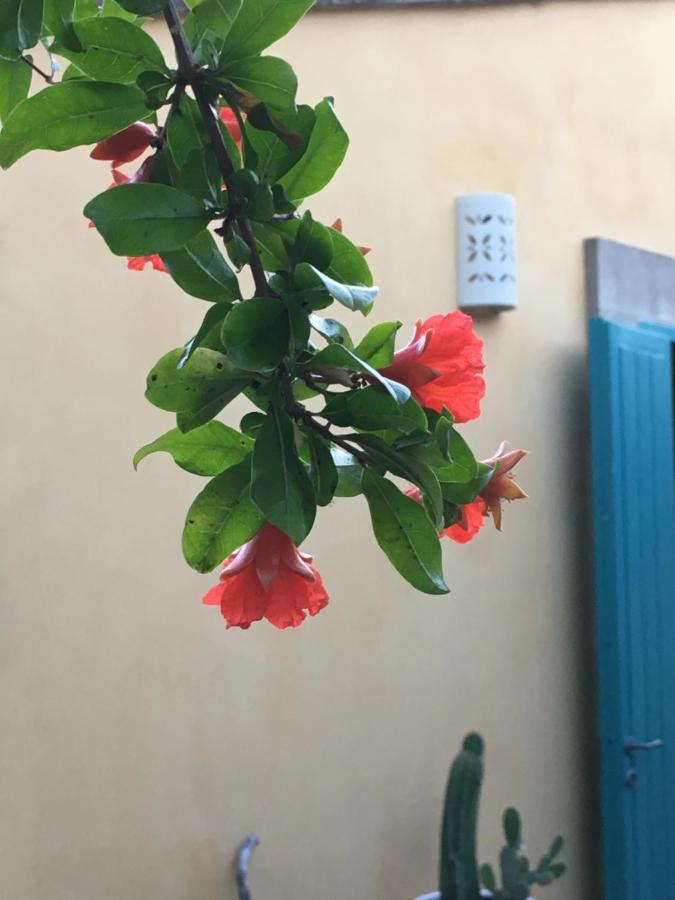 Appartamento con Vista Piscina