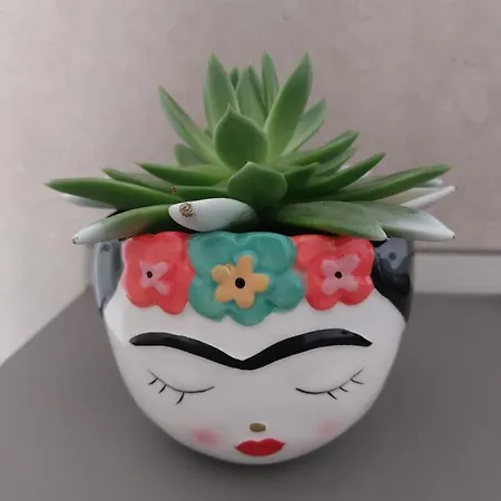 A casa di Frida-3