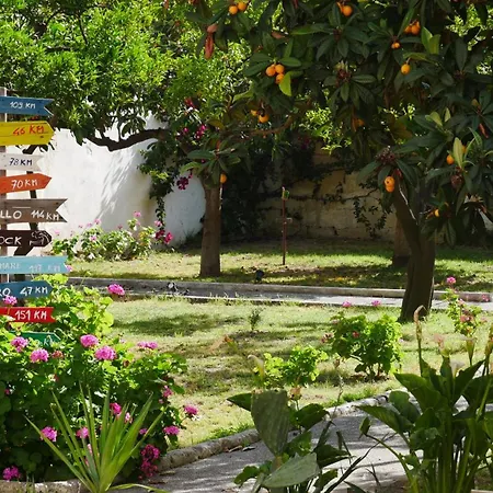 Urban Oasis Hostel-3